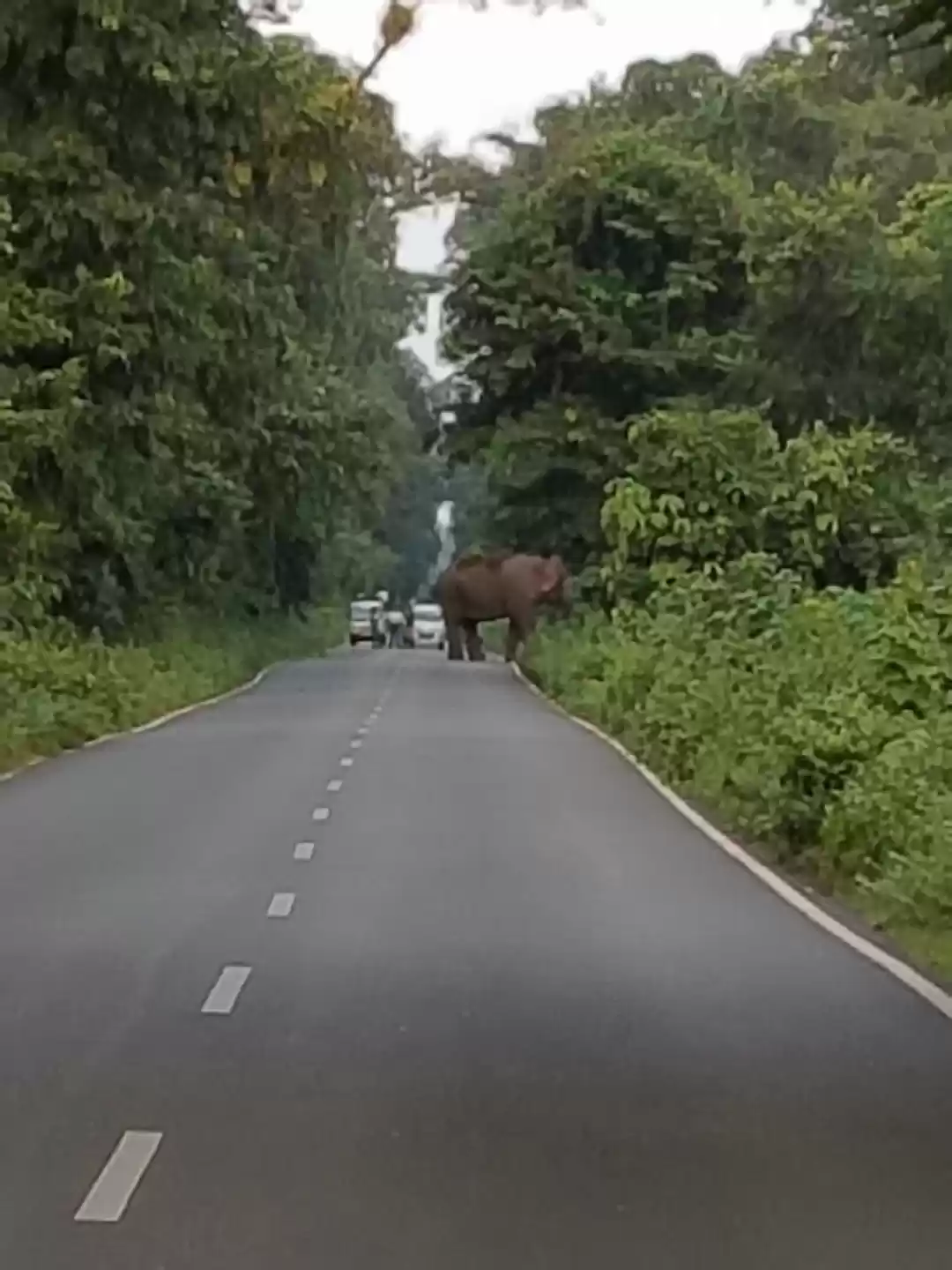 Photo of The Enchanting Kingd