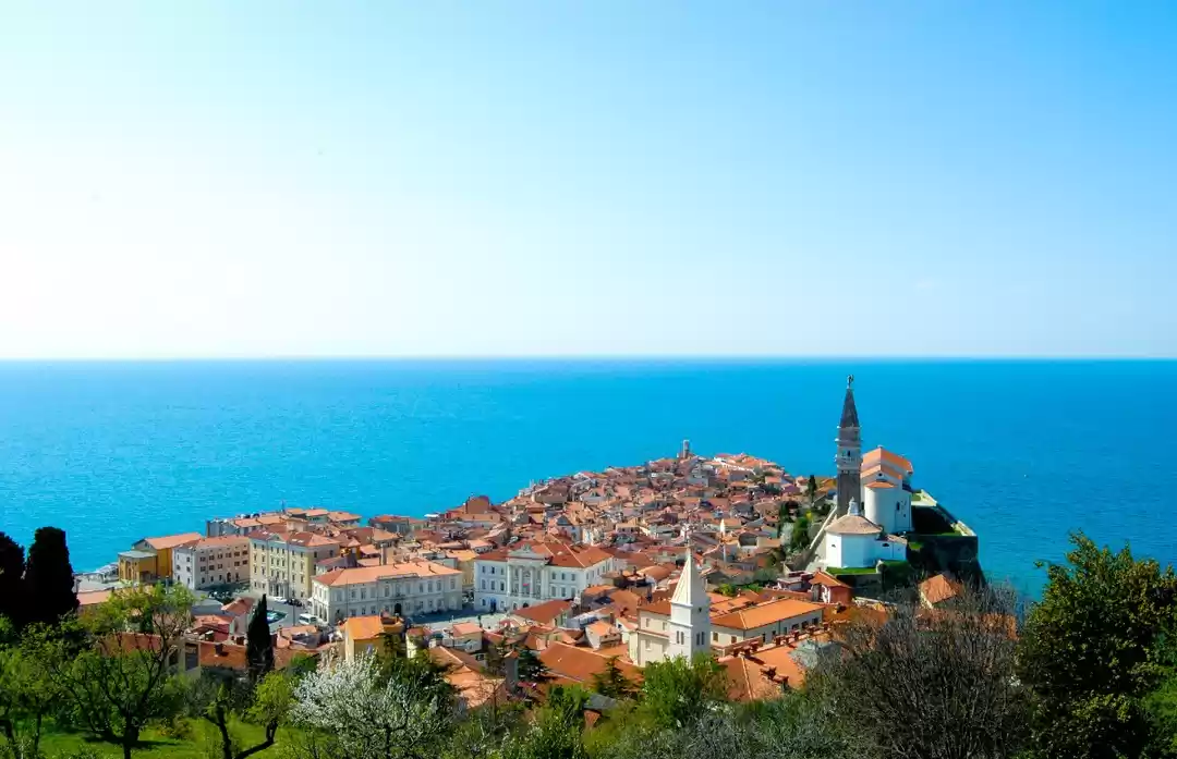 Photo of After Nearly 1500 Ca