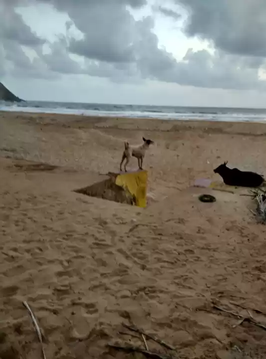 Photo of Gokarna! Absolute bl