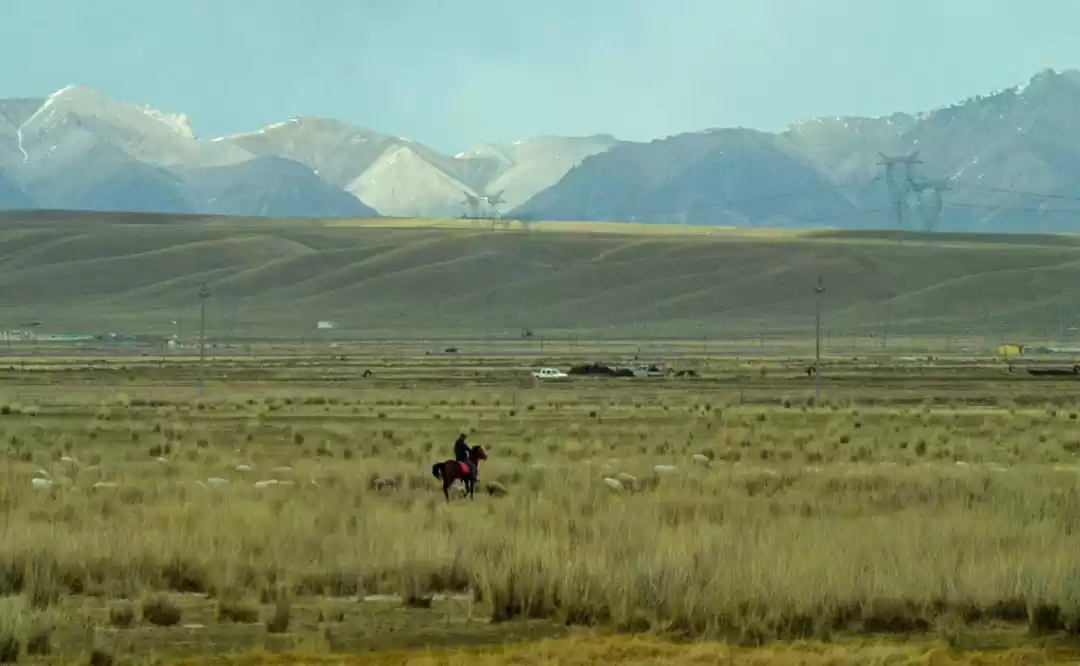Photo of Long way home - Part
