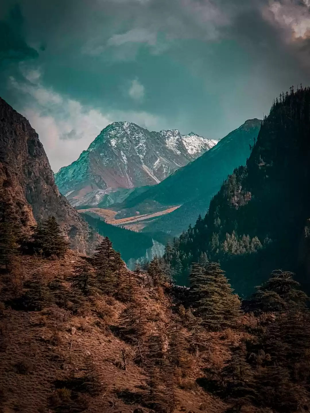 Photo of Dronagiri parvat