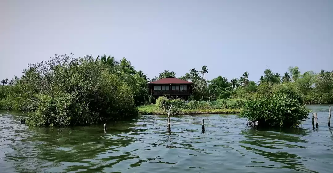 Photo of Private Island ♥️