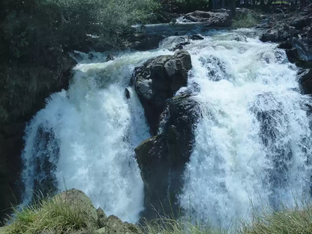 Photo of Drenching in Hogenak