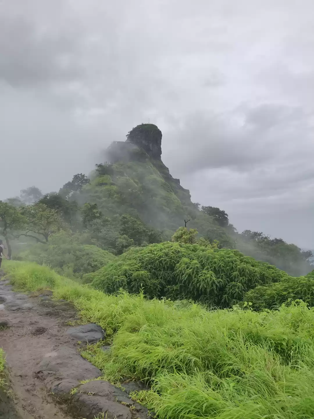 Photo of Trek to Karnala Fort