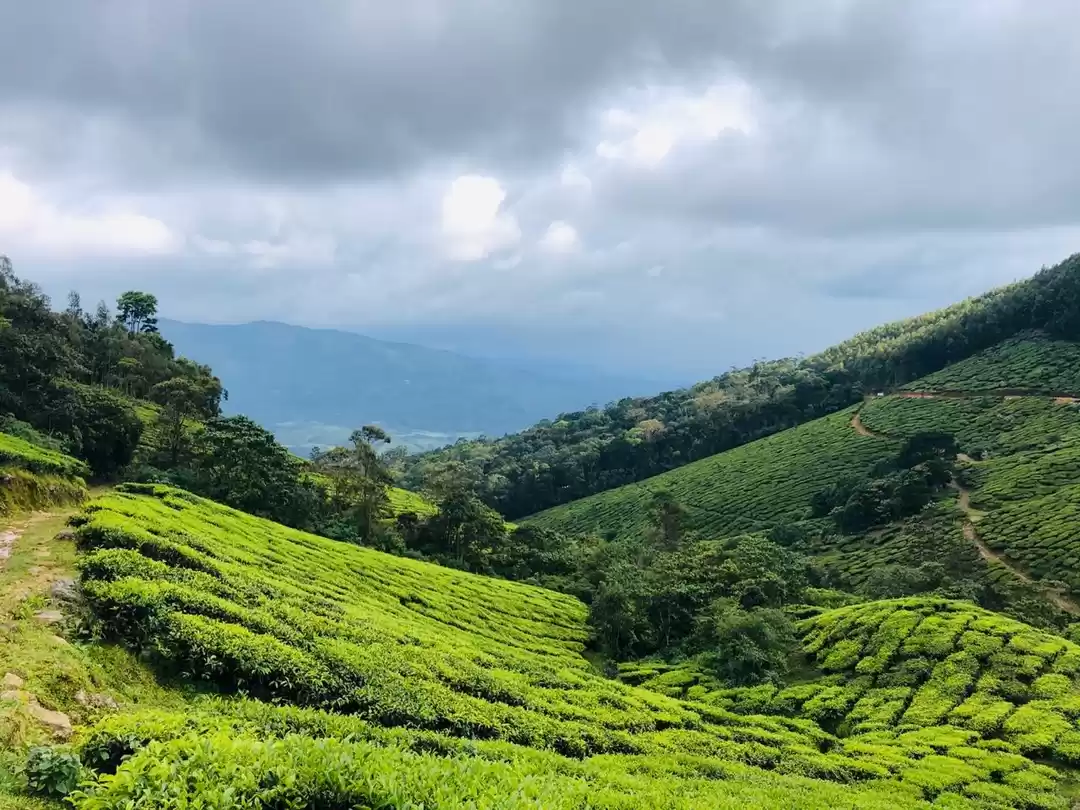 Photo of Kolukkumalai, Theni