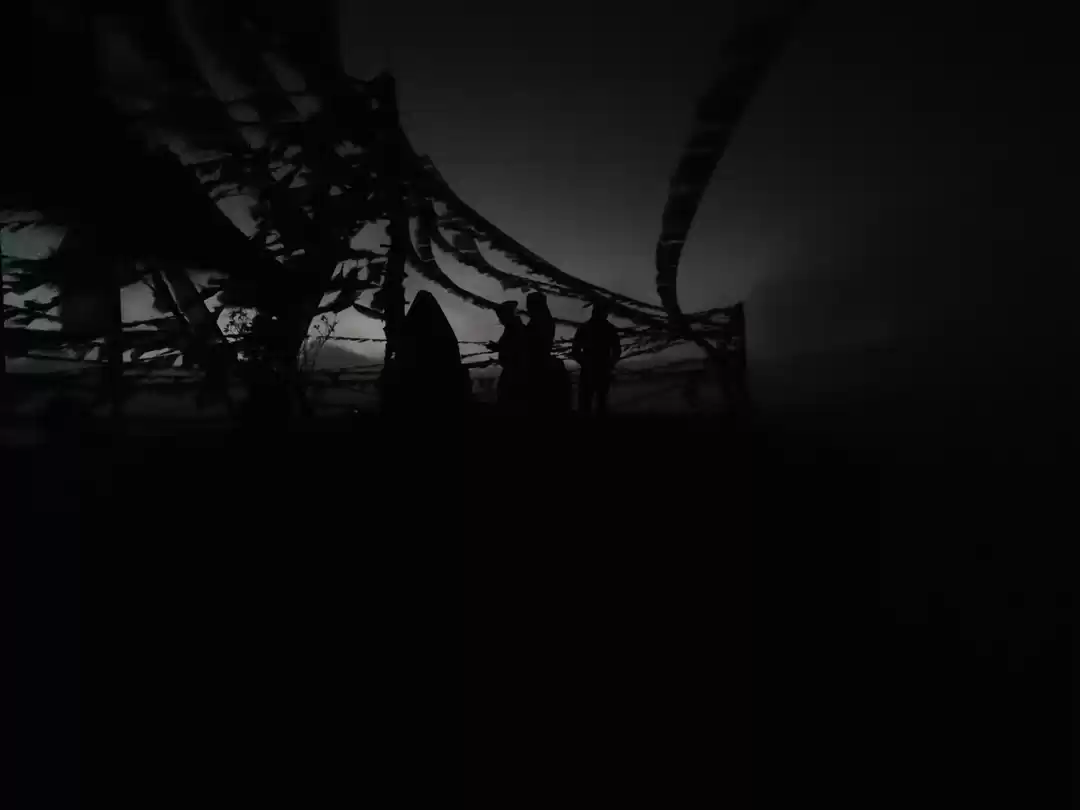 Photo of Black panther was wa