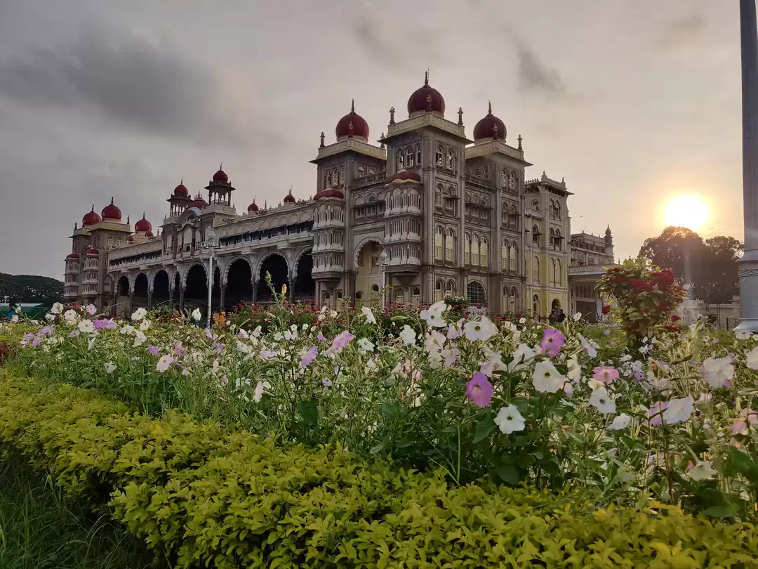 Photo of 3 friends, 5 states,