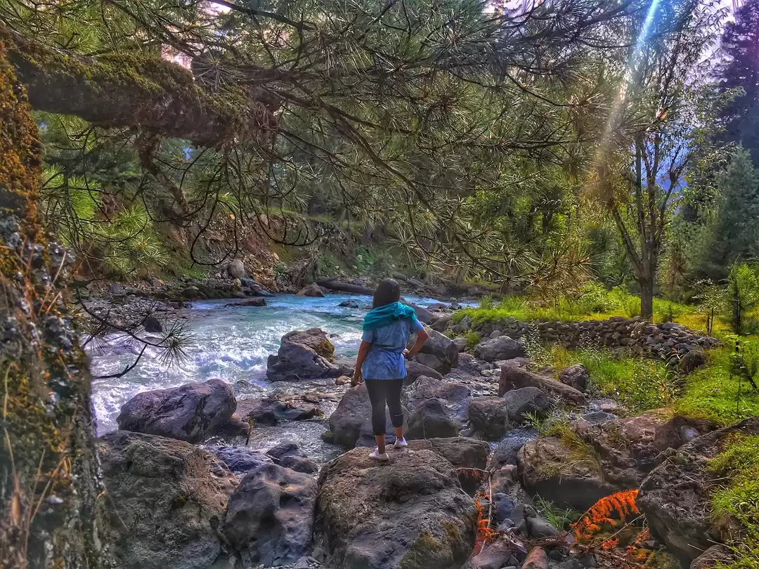 Photo of Demystifying the “Ho