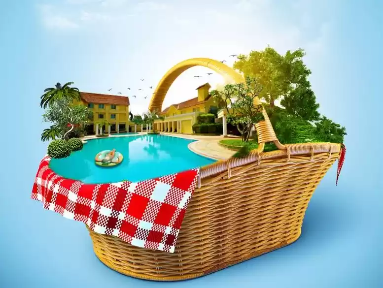 Photo of Why We Look Forward 