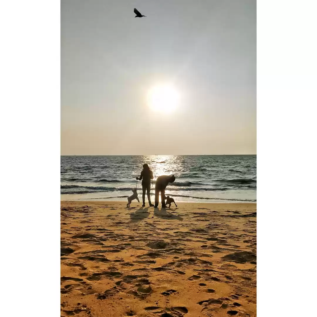 Photo of Vypin beach