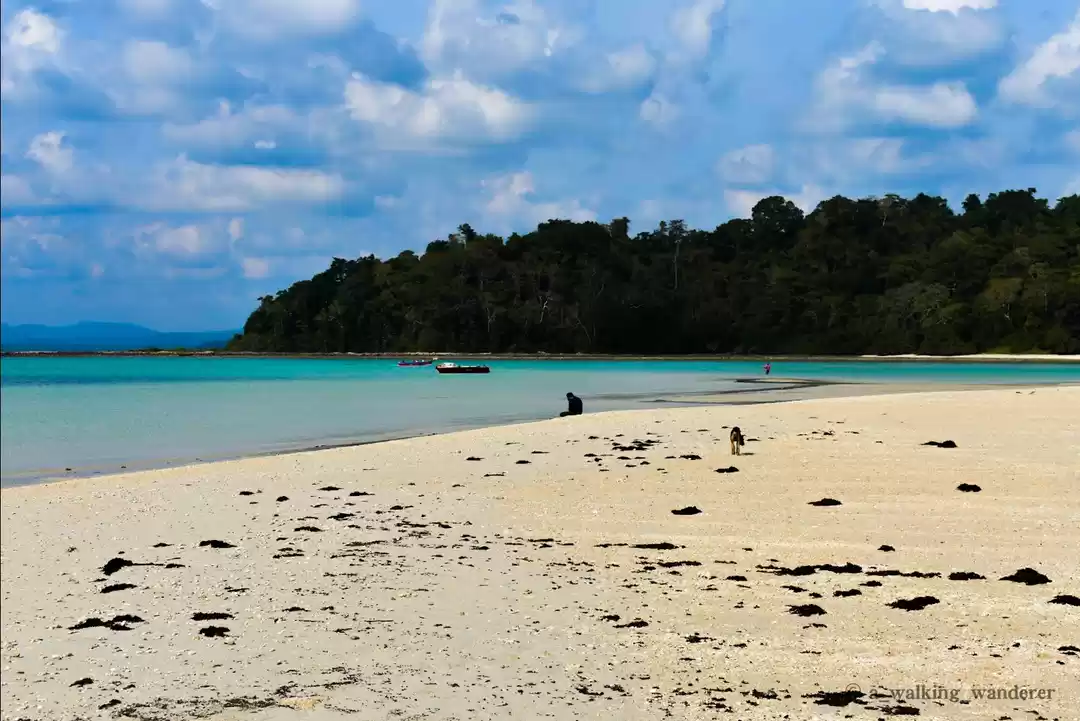 Photo of Ross N Smith Island