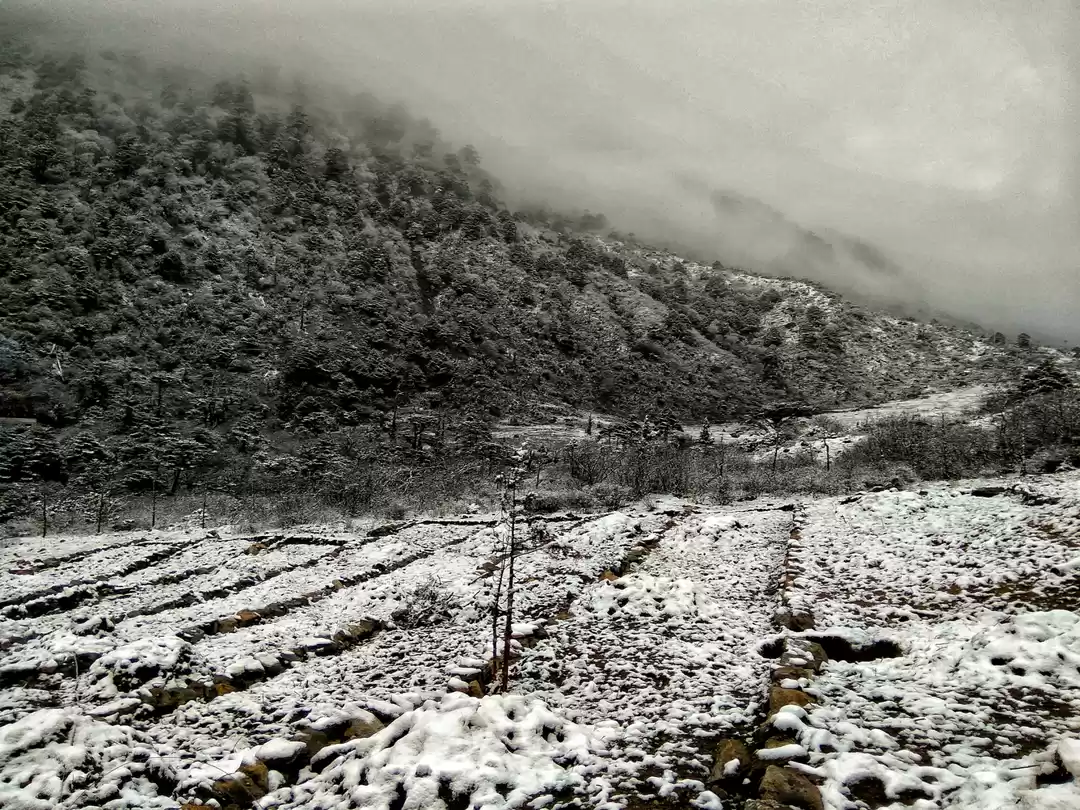 Photo of Unpredictable Sikkim