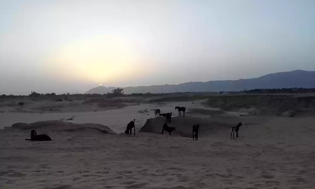 Photo of Pushkar - nice littl