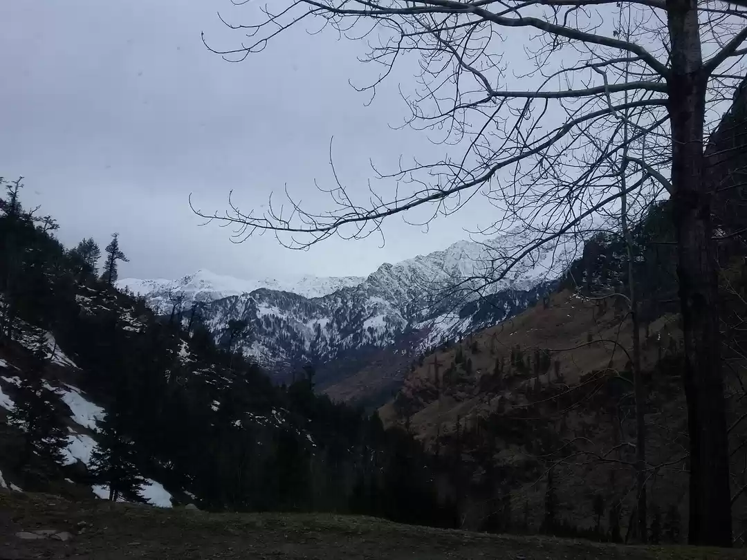 Photo of Manali in a modest b