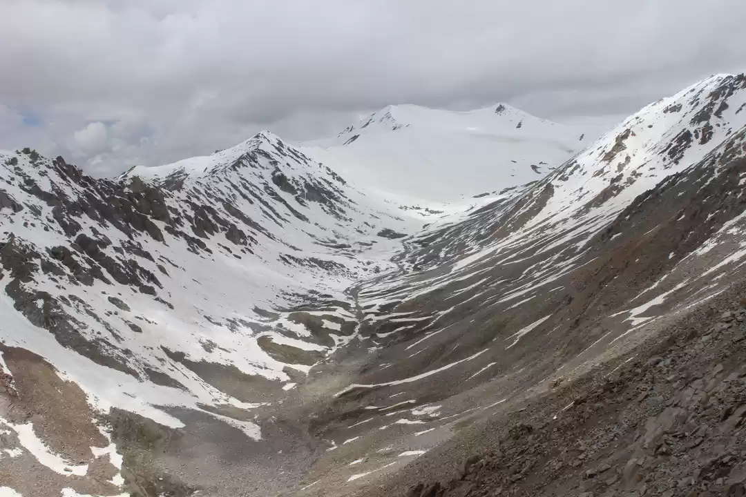 Photo of Gama in the land of 