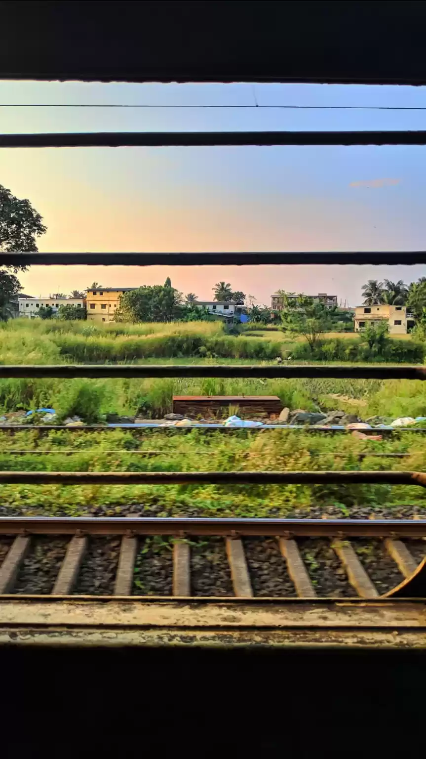 Photo of Udupi Vibes