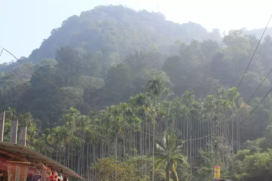 Photo of Wayanad: Where every