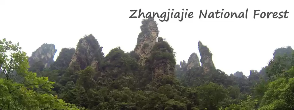 Photo of China: Avatar Mounta