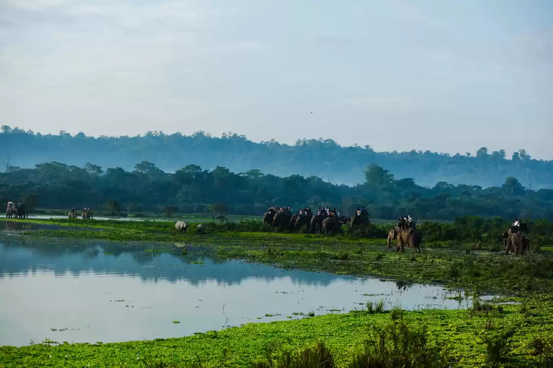 Photo of An adventurous week