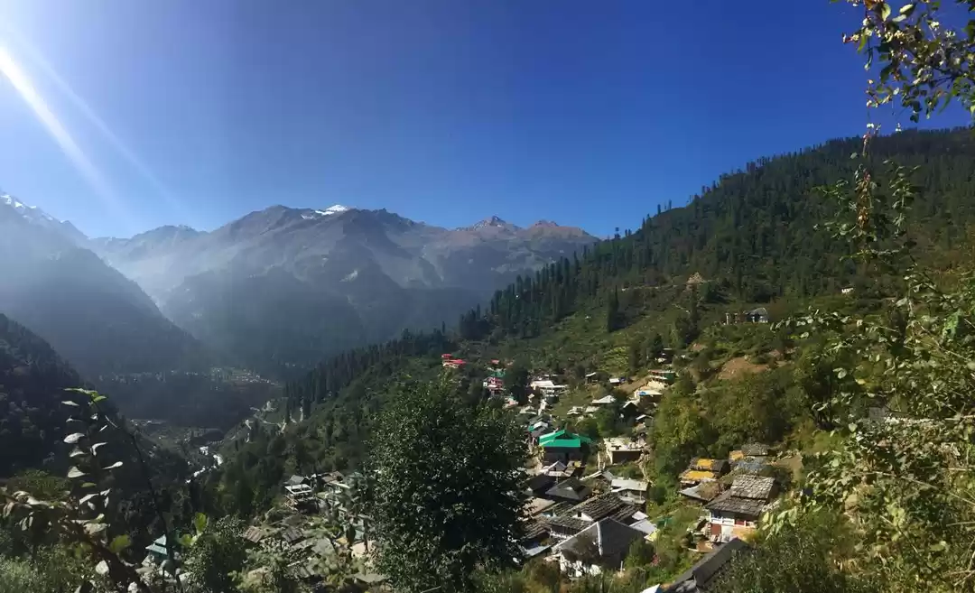 Photo of Survived Monday? Pla