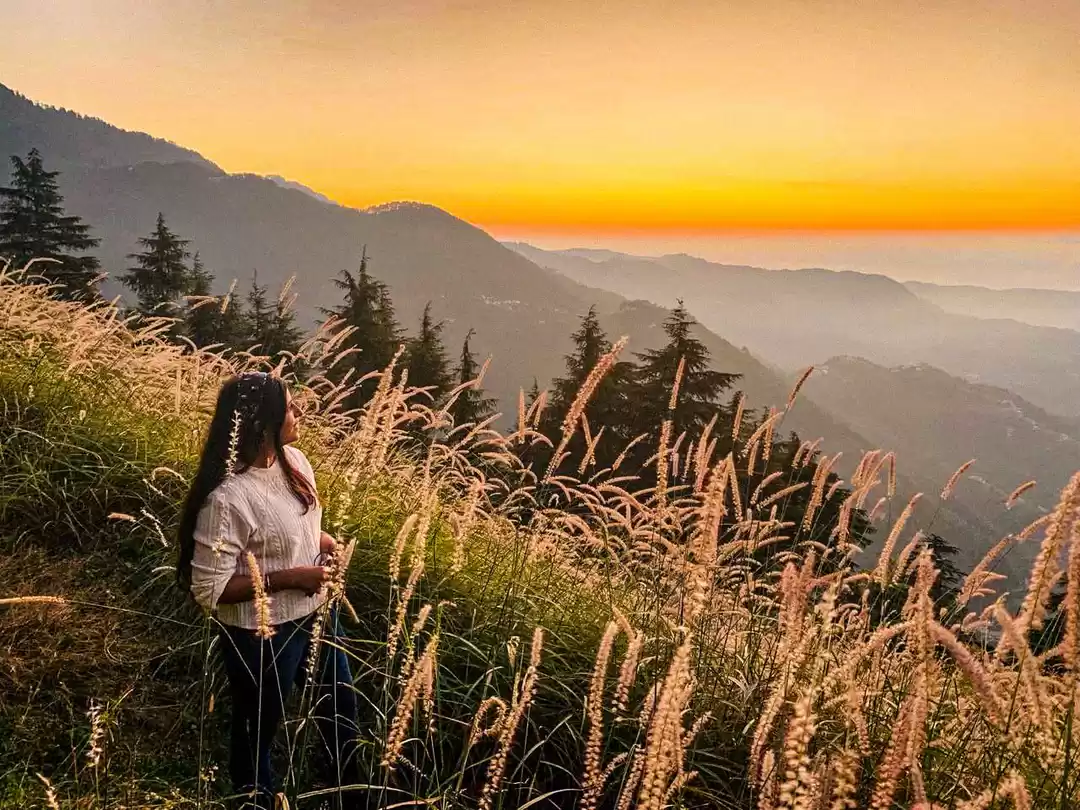 Photo of Crazy things You Can