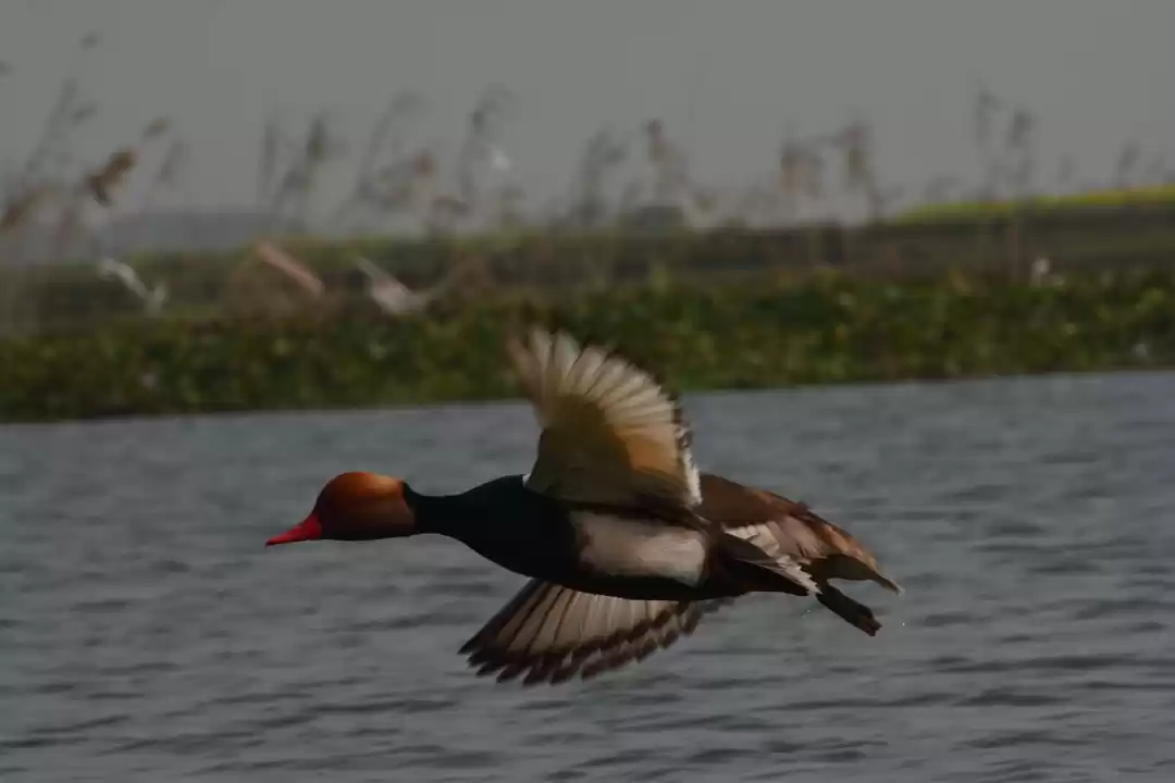 Photo of A Journey close to n