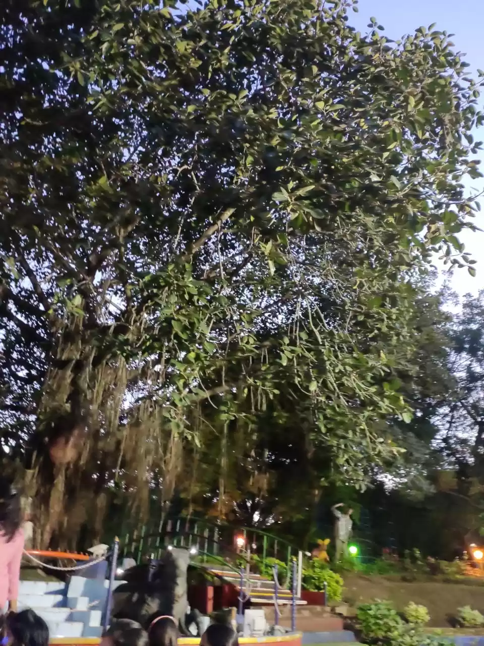 Photo of La NATURE, C'est la 
