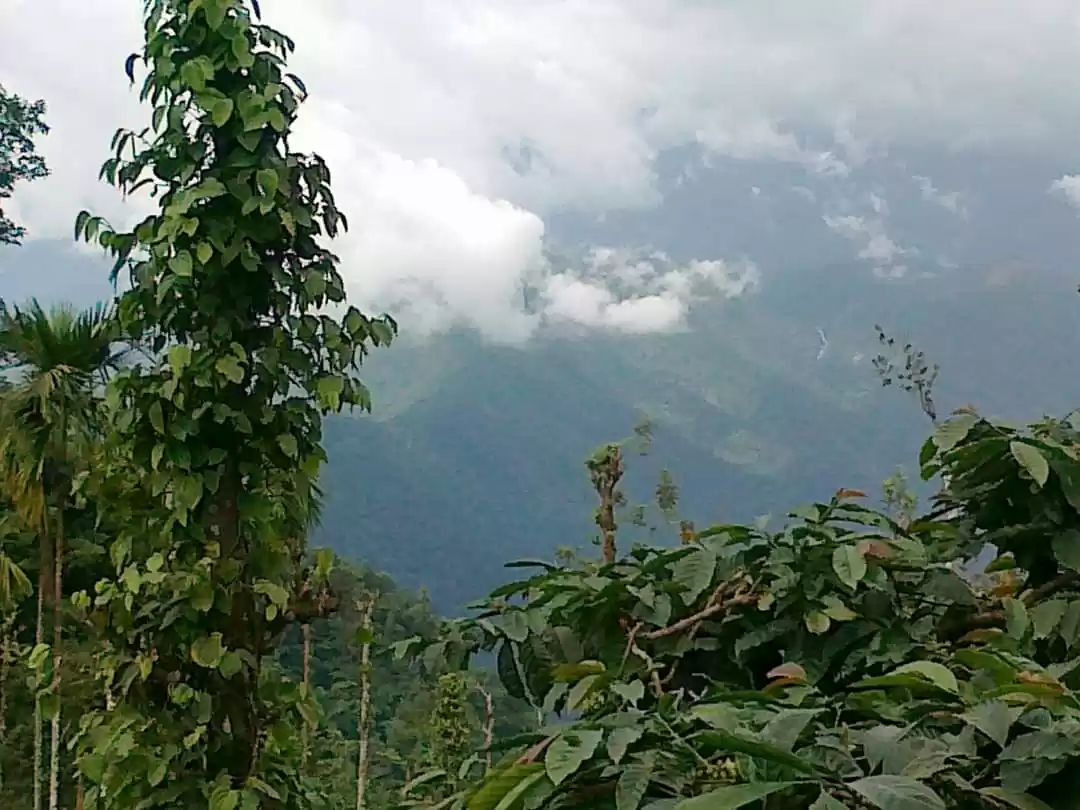 Photo of Kerala #GodsOwnCount