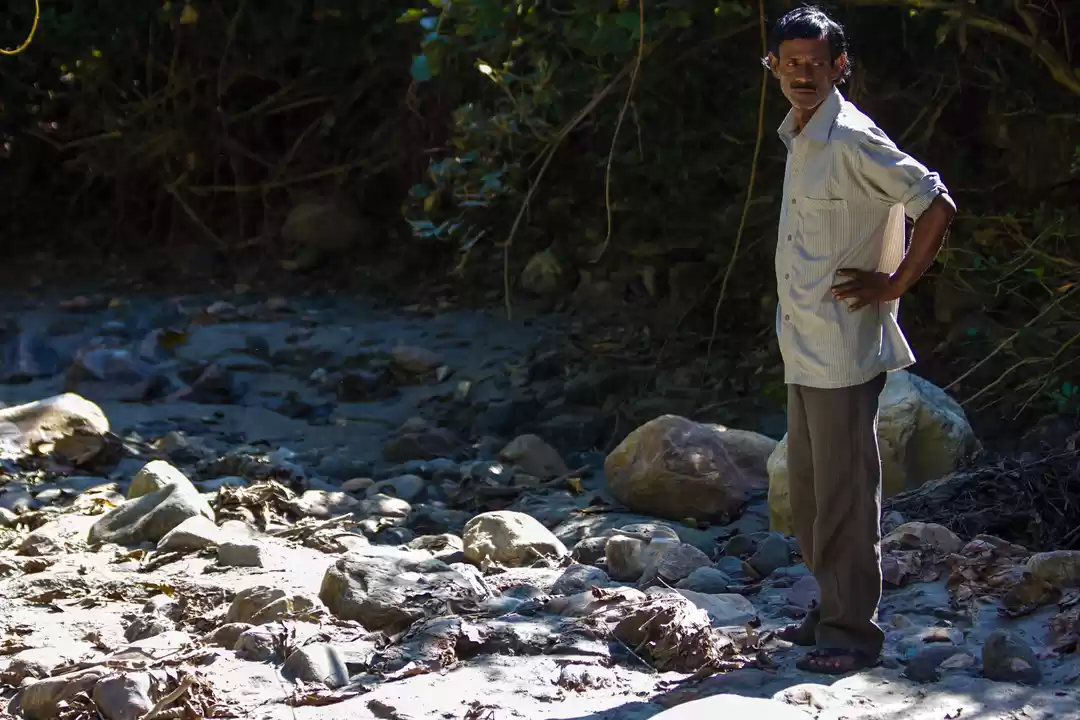 Photo of Dooars Trekking Diar