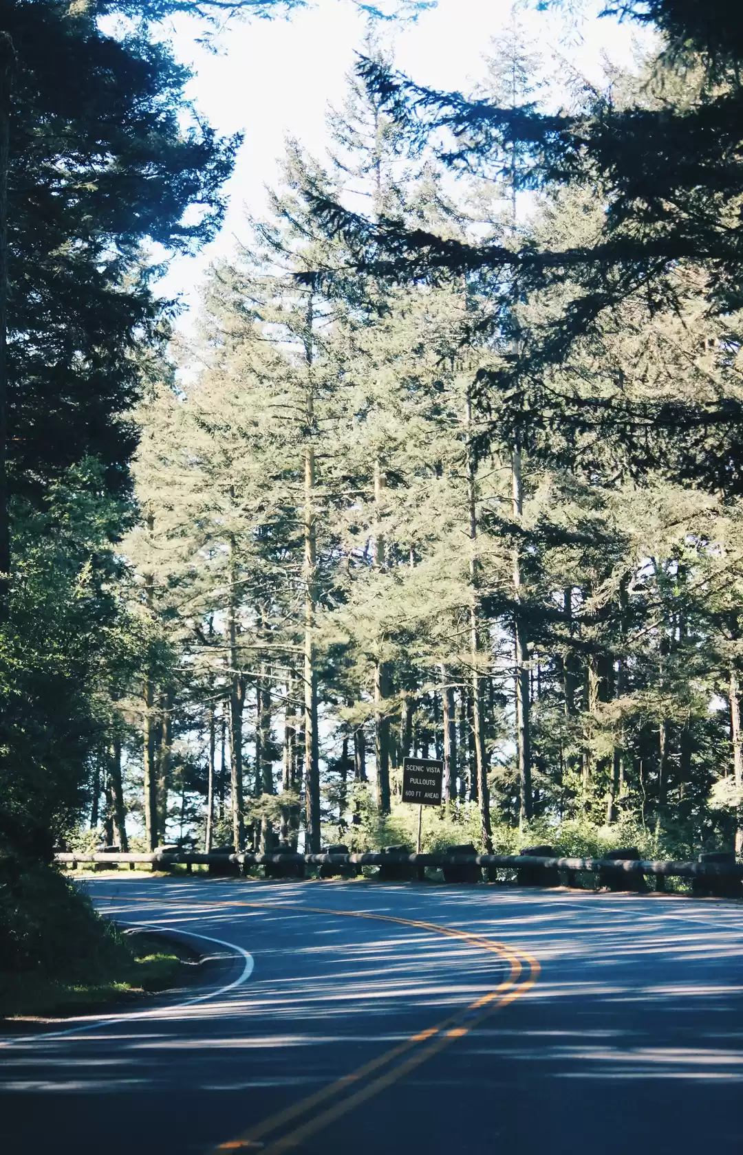 Photo of Fidalgo Island: A Ge