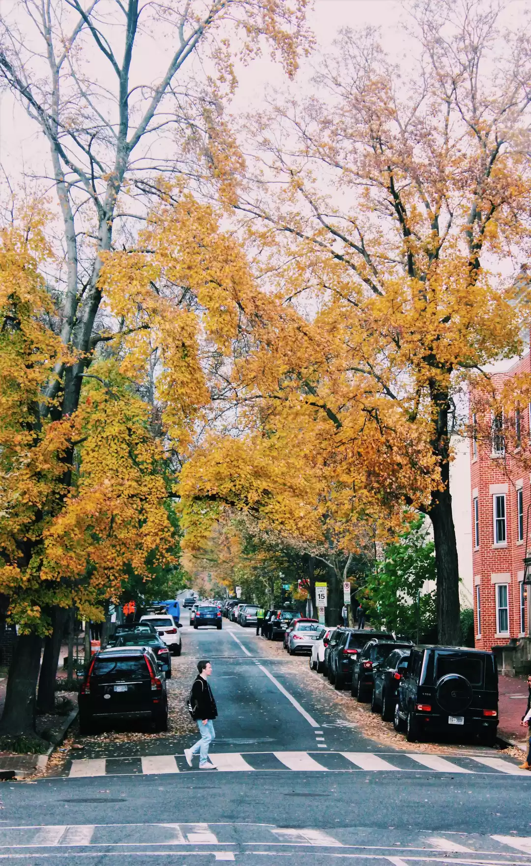 Photo of Georgetown in Late N