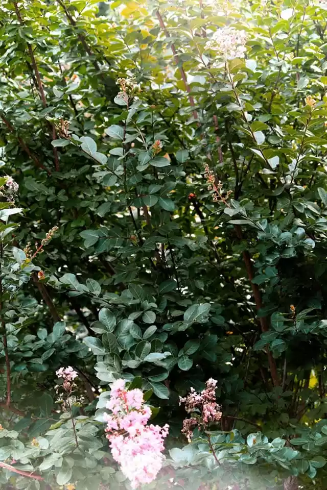 Photo of An Artist's Travel G