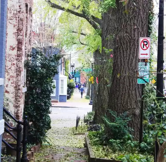 Photo of Outdoor Activities i