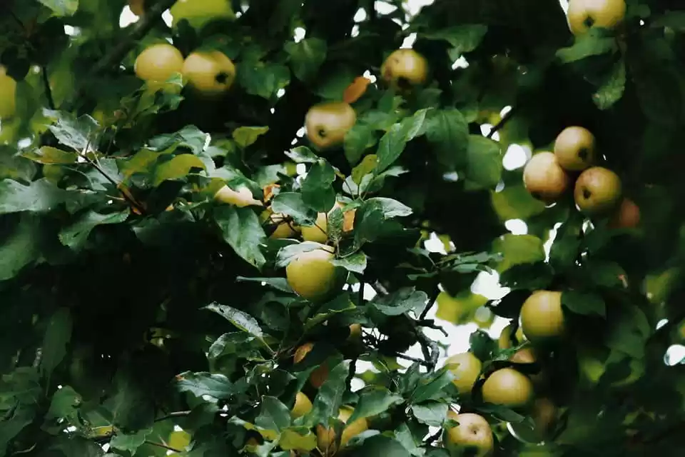 Photo of Traveling in Boston