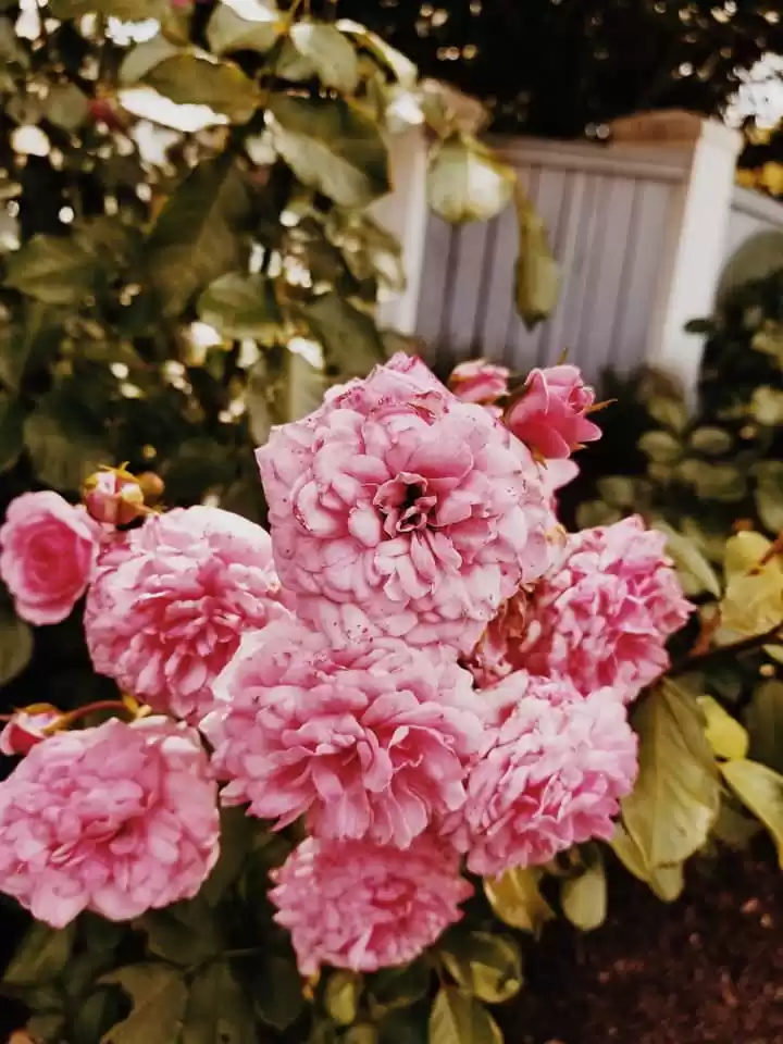 Photo of Travel Like A Local: