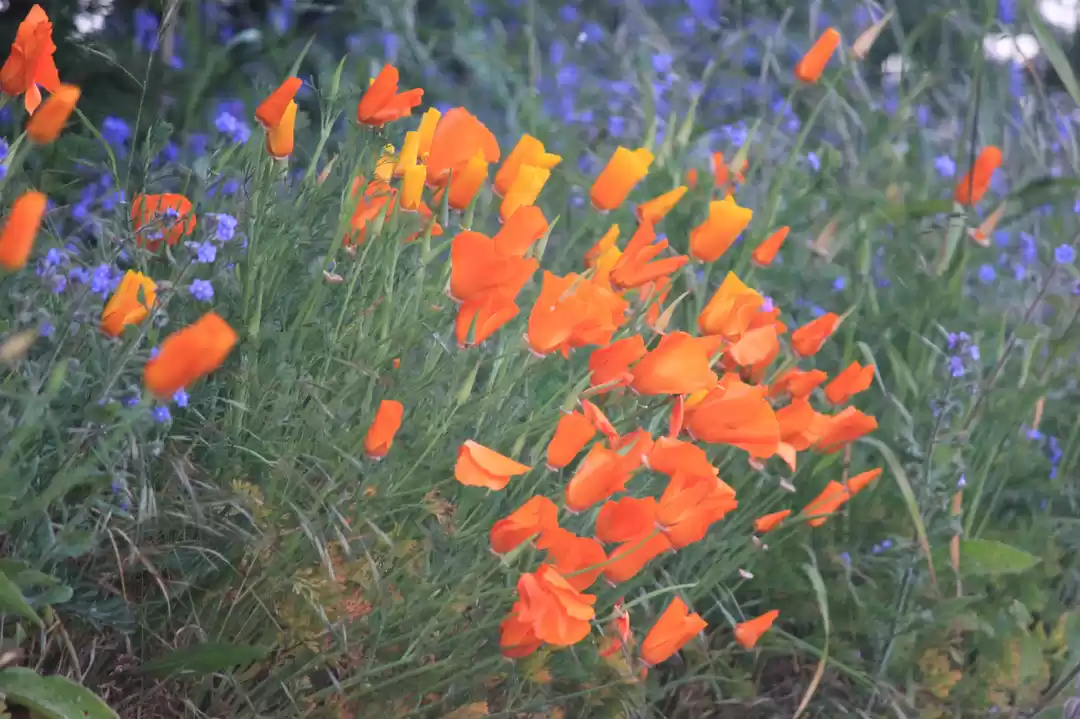 Photo of Millennials Guide To