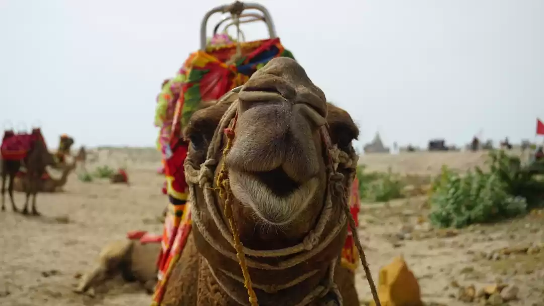 Photo of First solo trip with