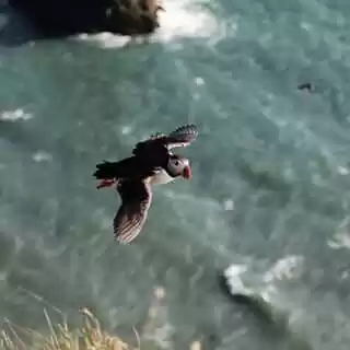 Photo of Iceland all around r