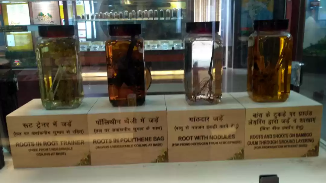 Photo of Forest Research Inst