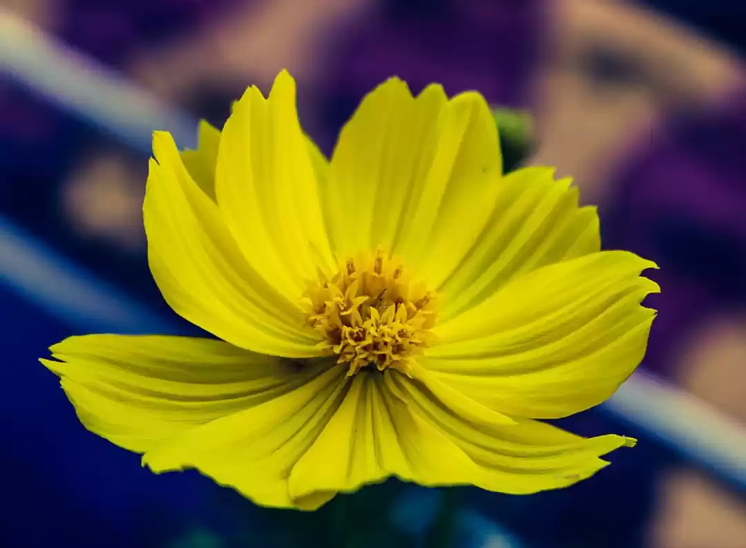 Photo of Tawa resort....hidde