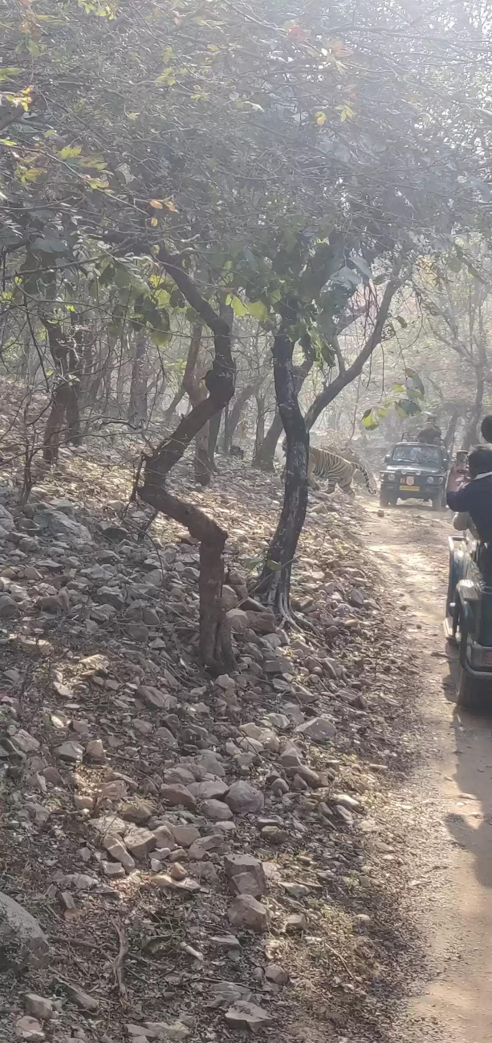 Photo of Last minute trip to