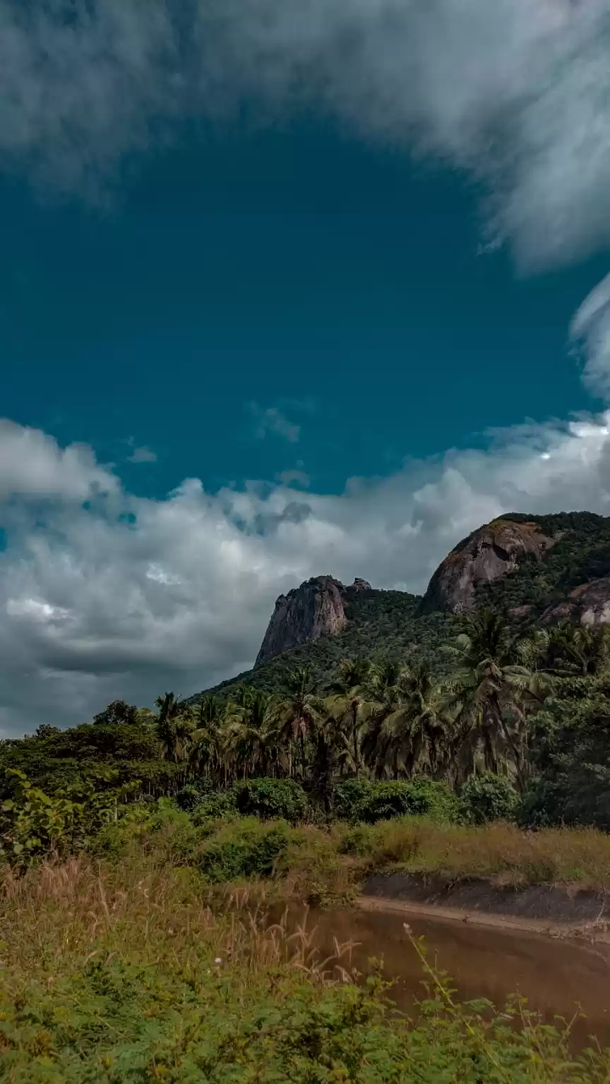 Photo of Palakkayam