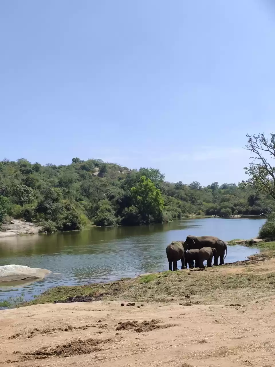 Photo of Wildlife Safari: Ban