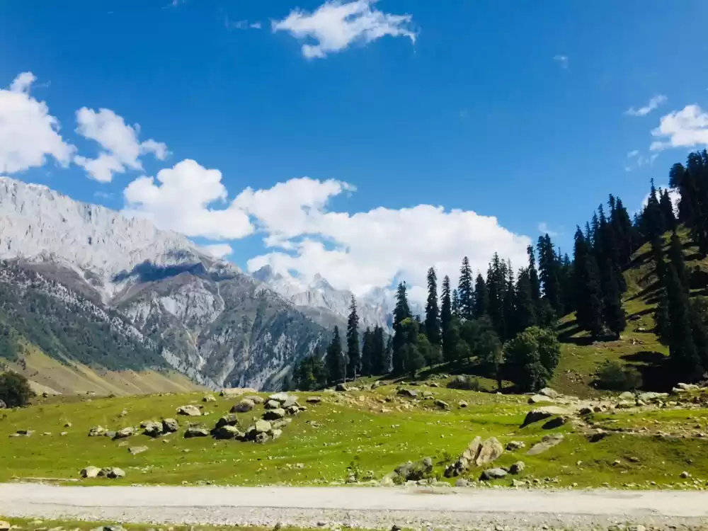 Photo of 4 Days Of Autumn In 