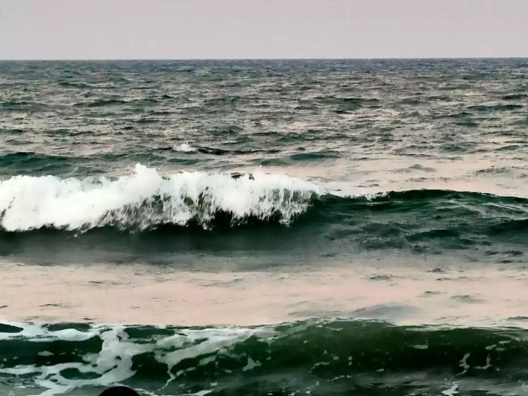 Photo of Let the heart lead y