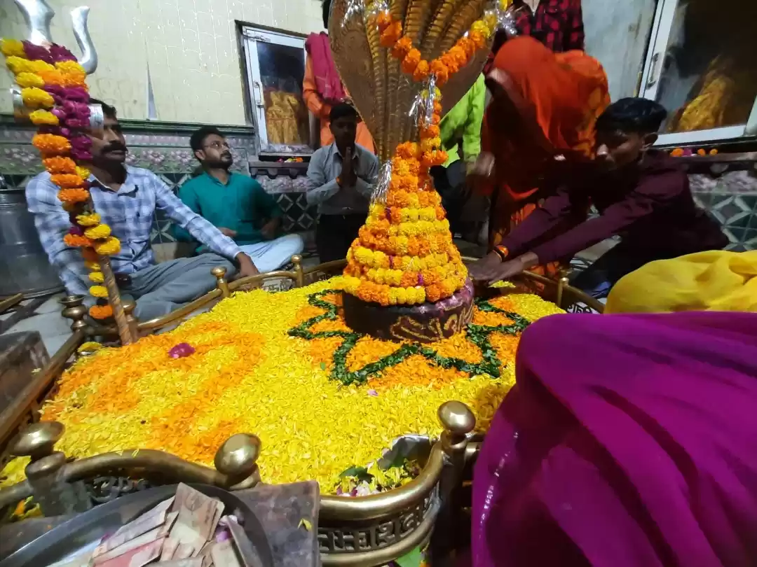 Photo of Very positive and un