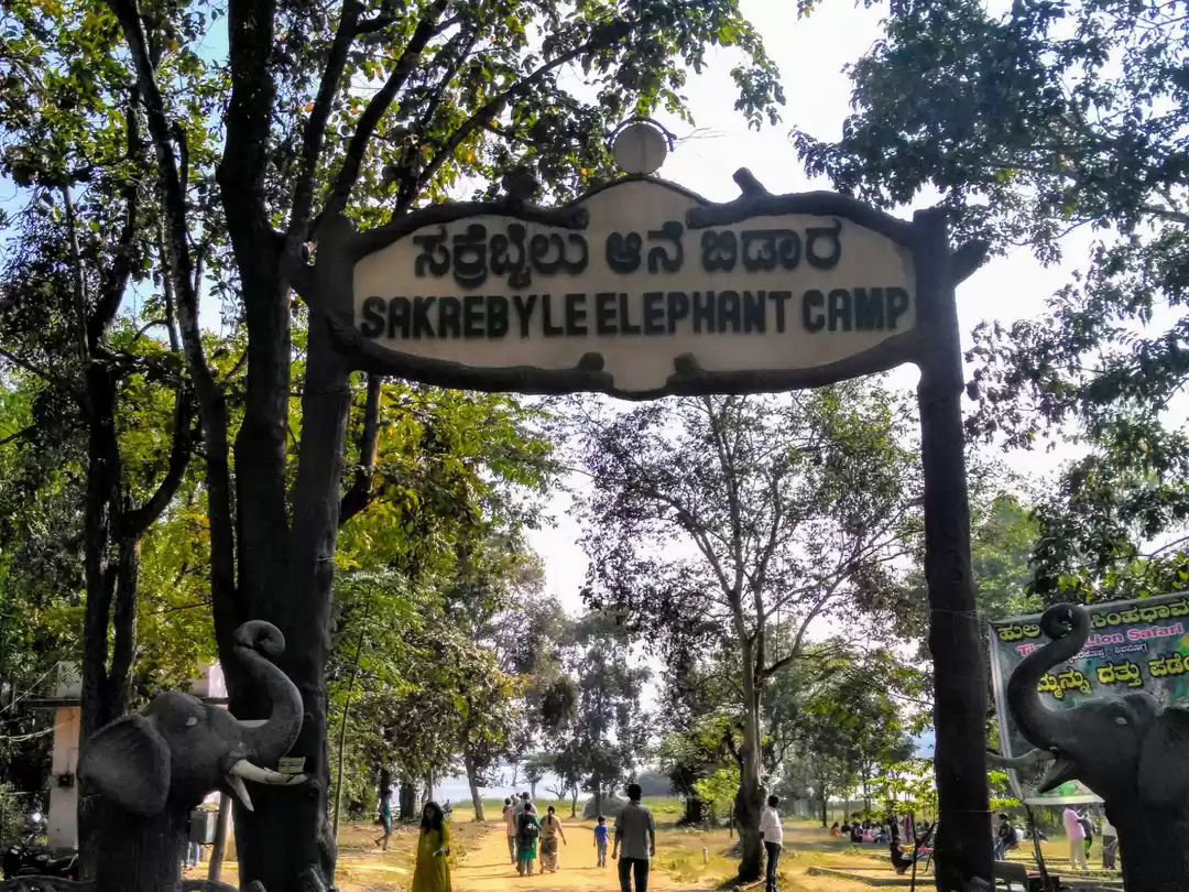 Photo of Sakrebyle Elephant C