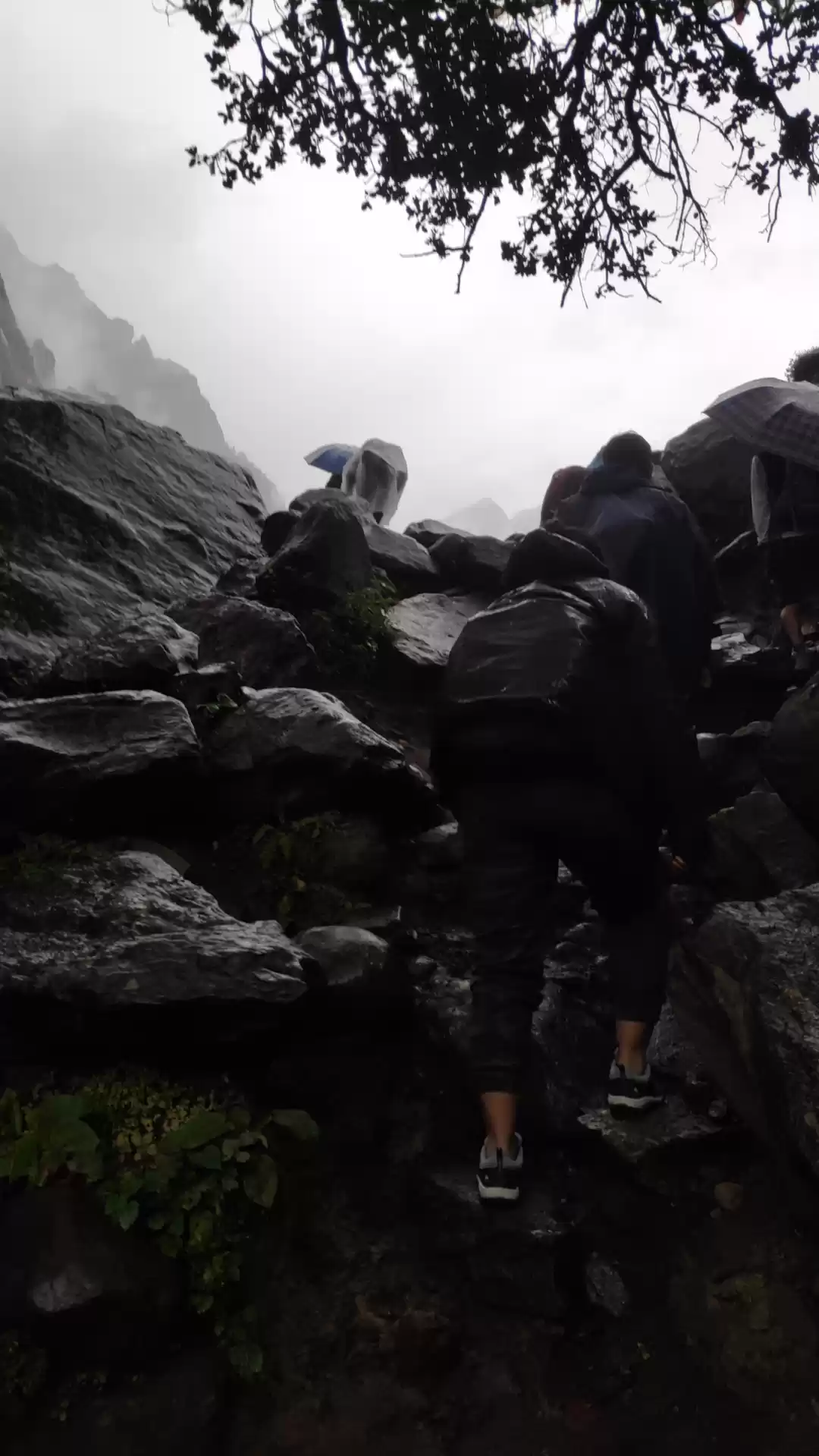 Photo of Mai Hampta Jogi????️