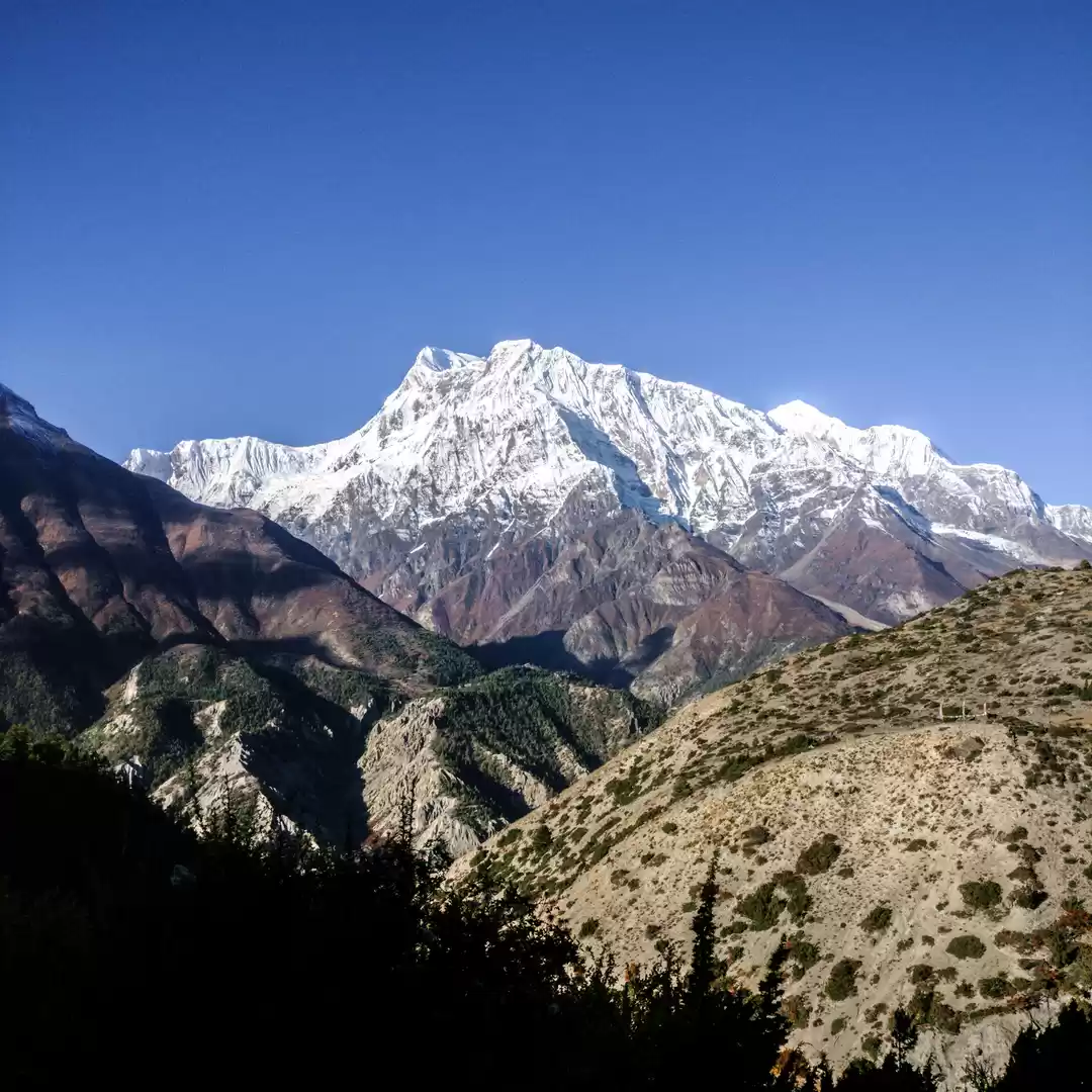 Photo of Trekking in Nepal -