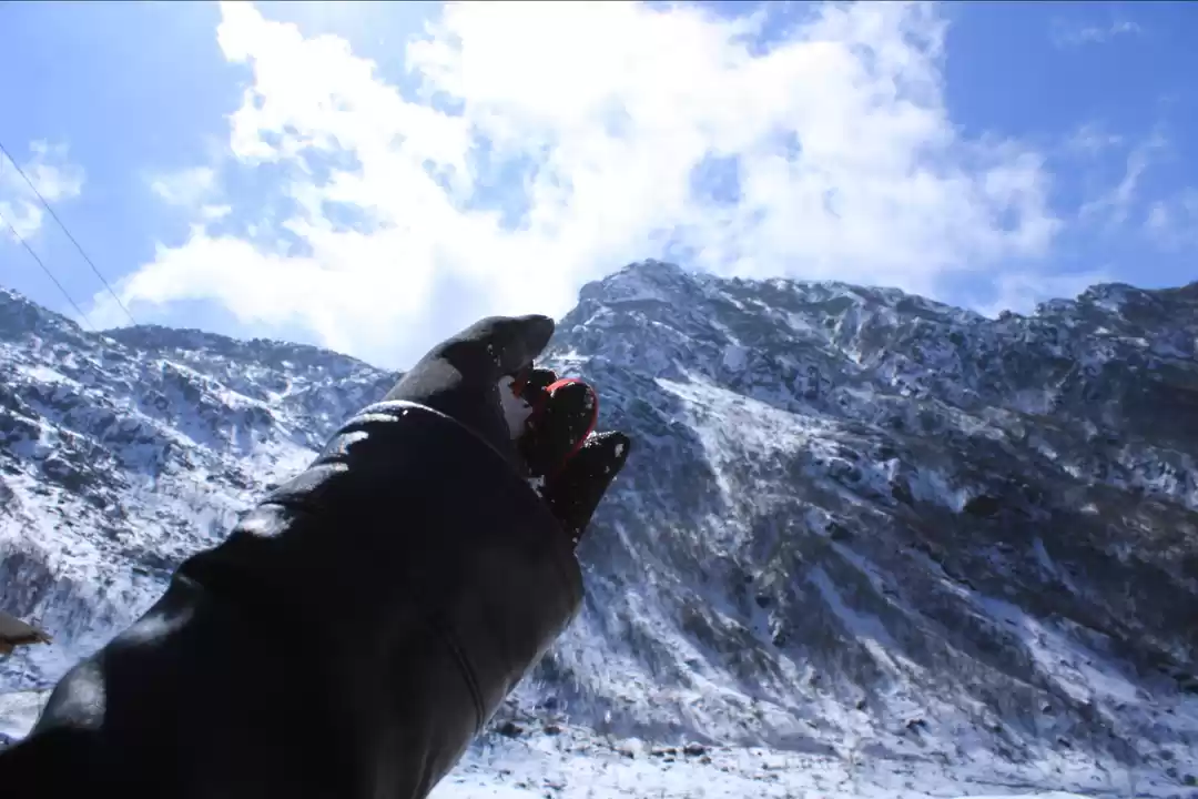 Photo of The first snow of my